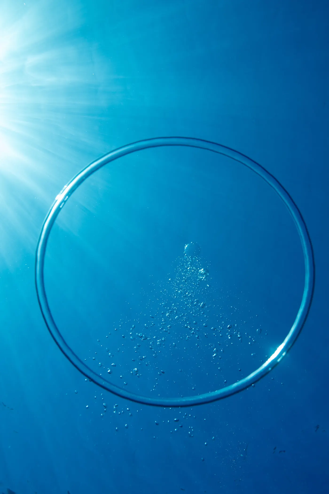 Un anneau de bulles qui remonte vers la surface dans une eau bleue traversée de lumière.