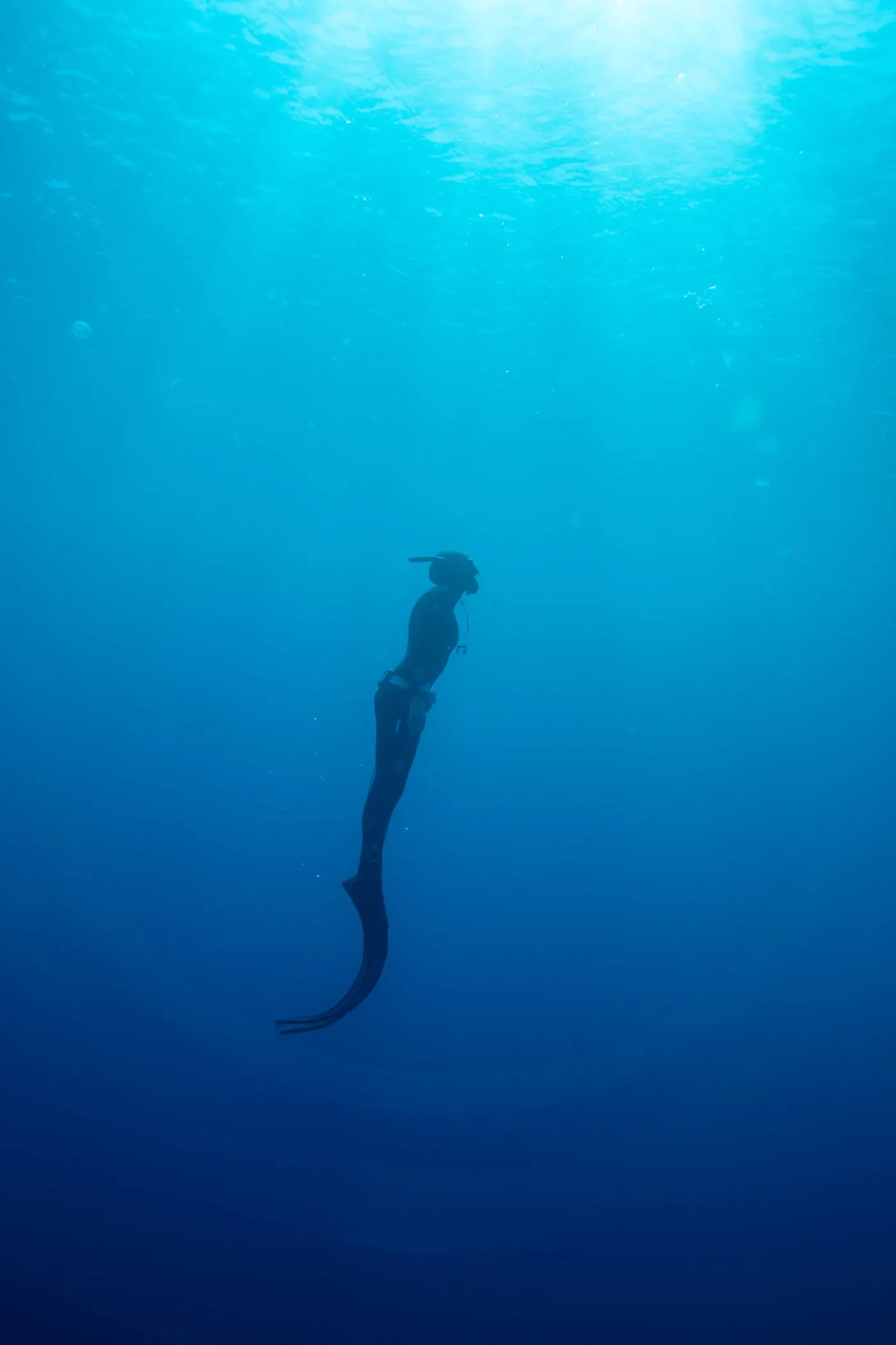 Silhouette d’une apnéiste qui remonte vers la lumière, palmes jointes.