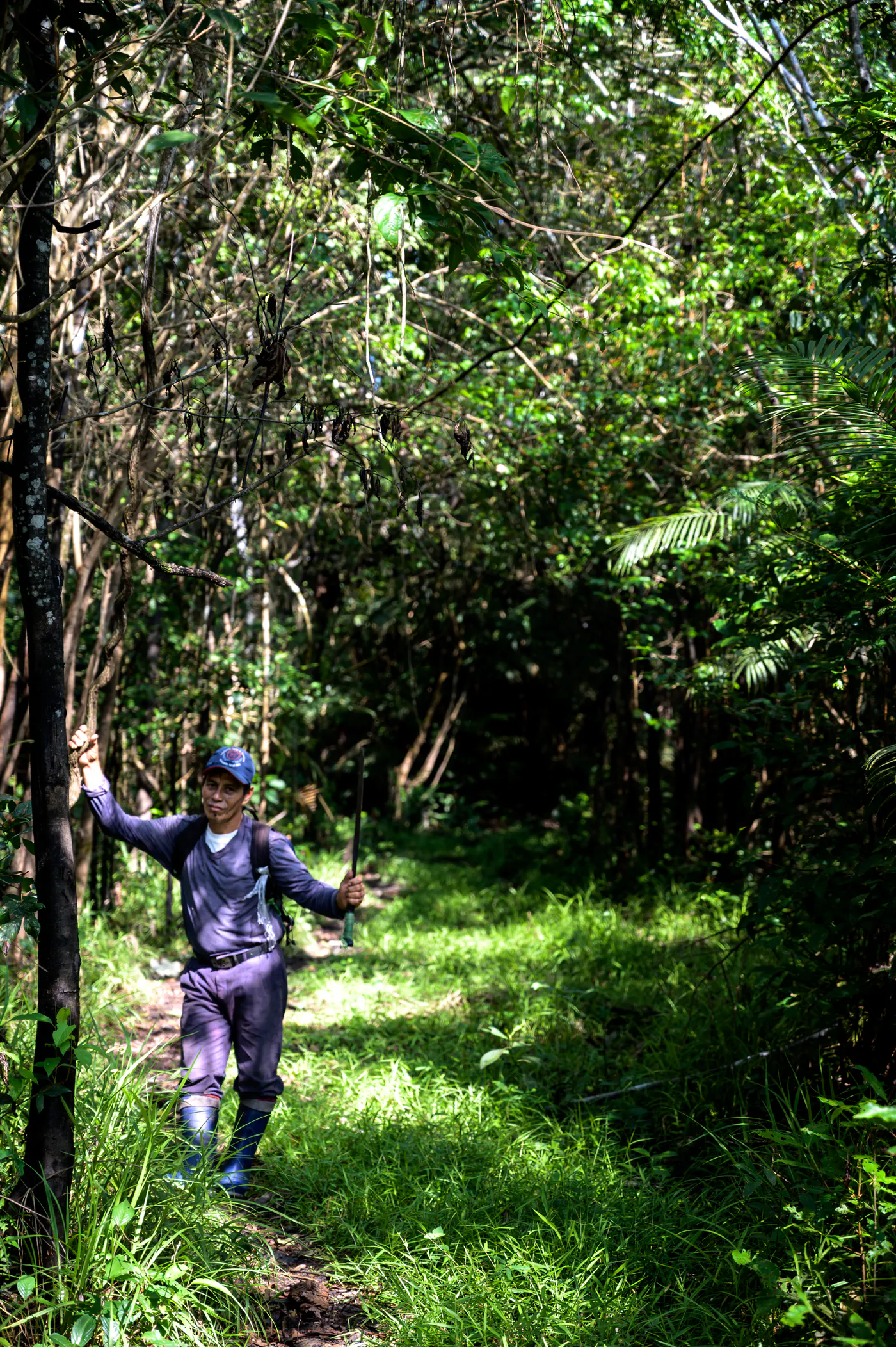 Un homme avance sur un sentier herbeux entre les arbres.